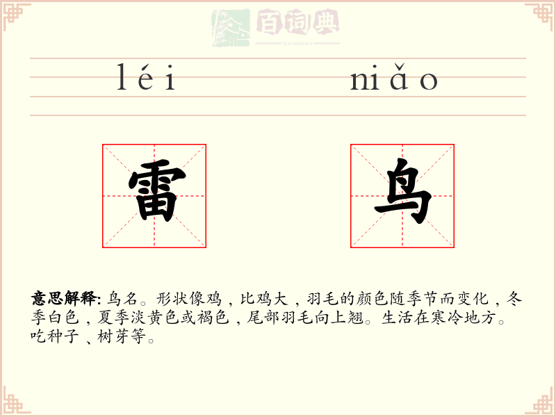 雷鸟