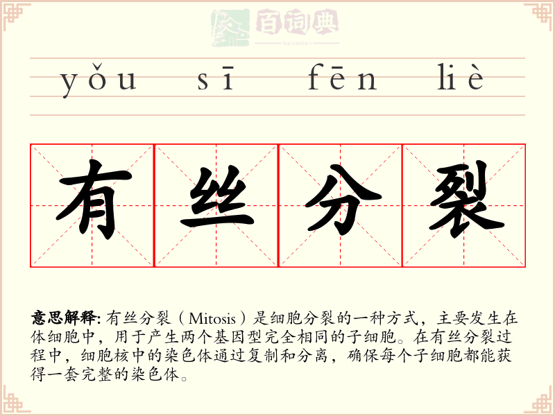 有丝分裂