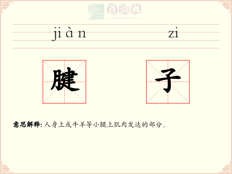 腱子