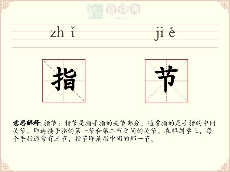 指节