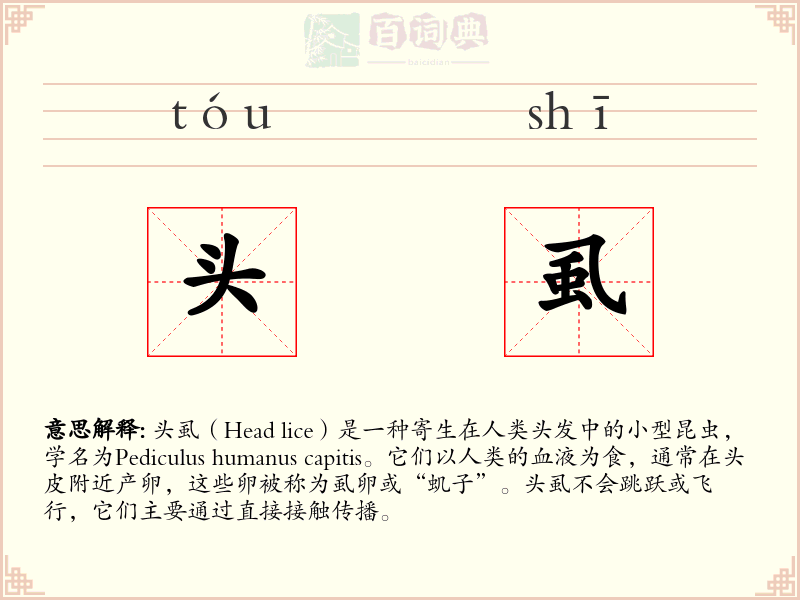 头虱