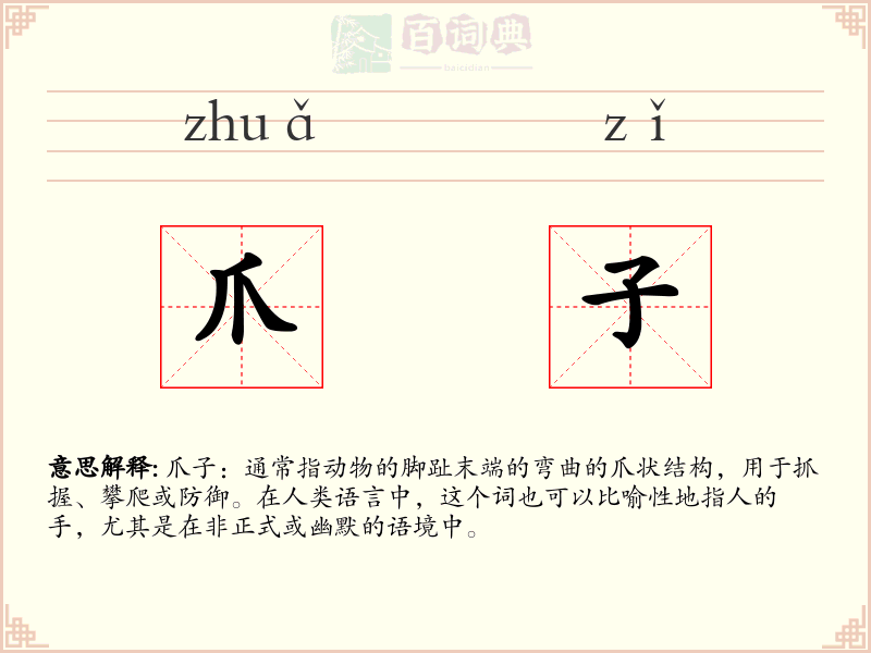 爪子