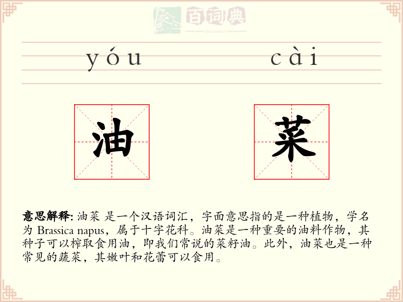 油菜