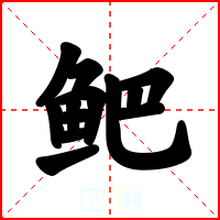 鲃