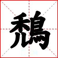 鵚