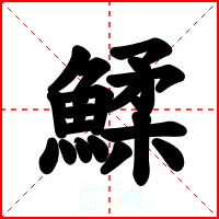 鰇