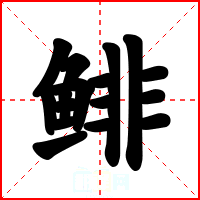 鲱