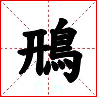 鳽