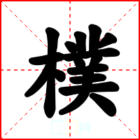 樸
