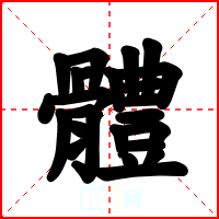 體
