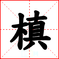 槙