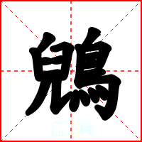 鶂