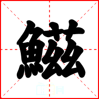 鰦