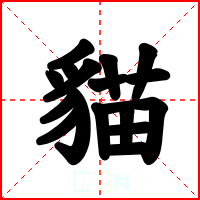 貓