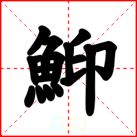 鮣