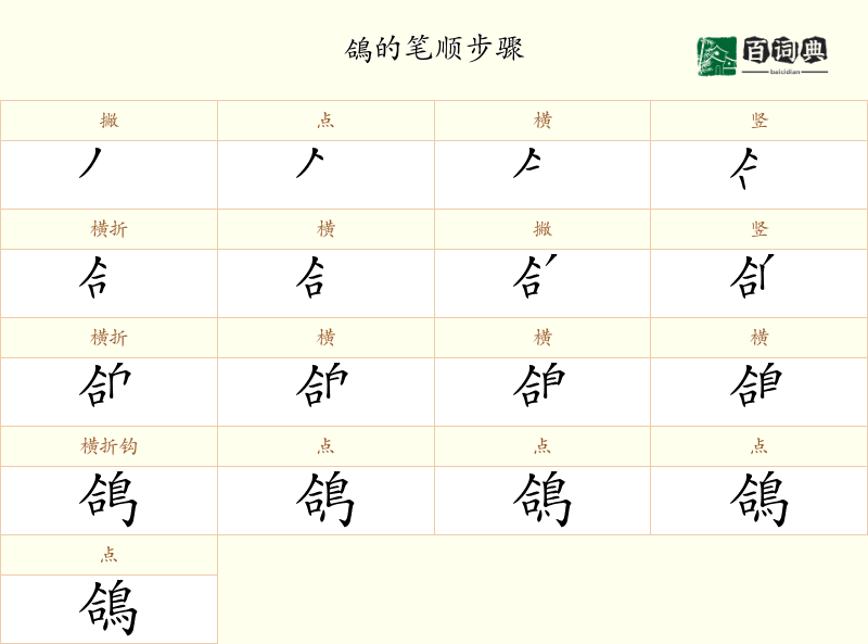 鴿