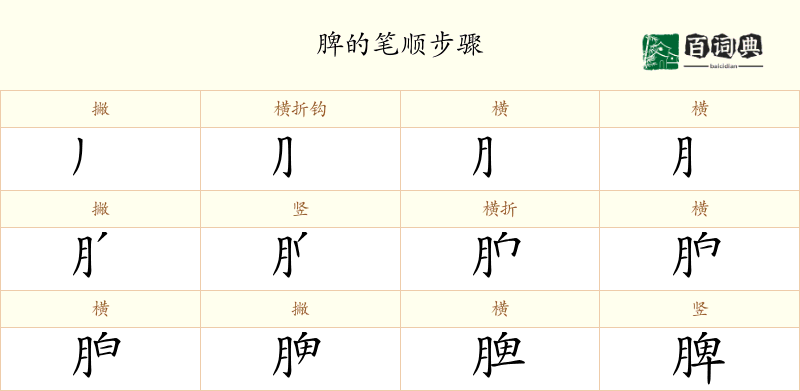 脾