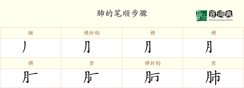 肺