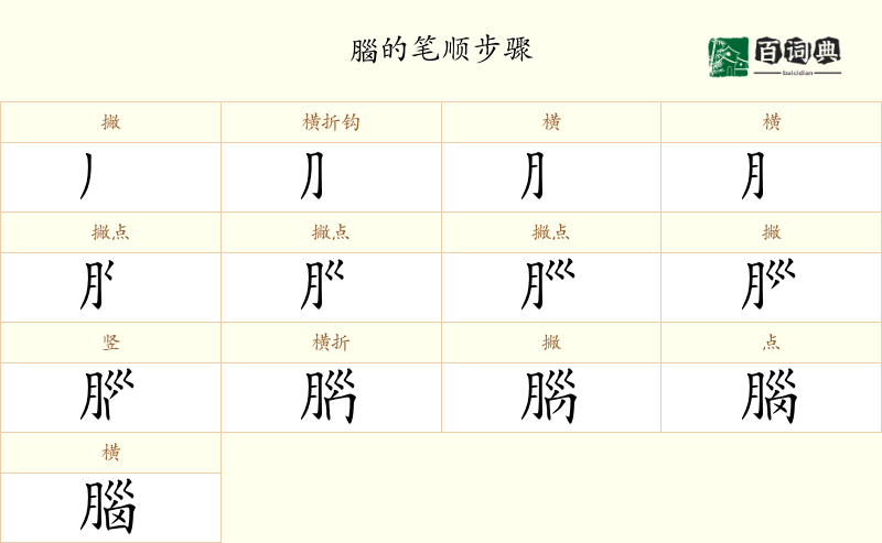 腦