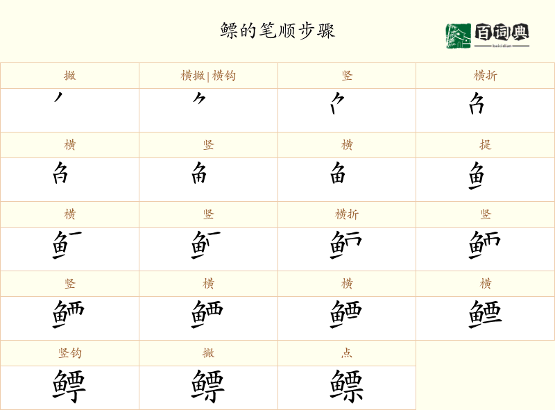 鳔