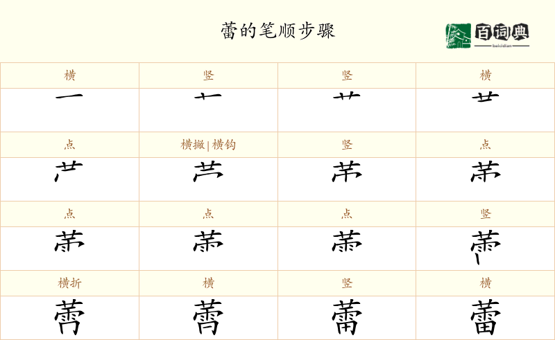 蕾