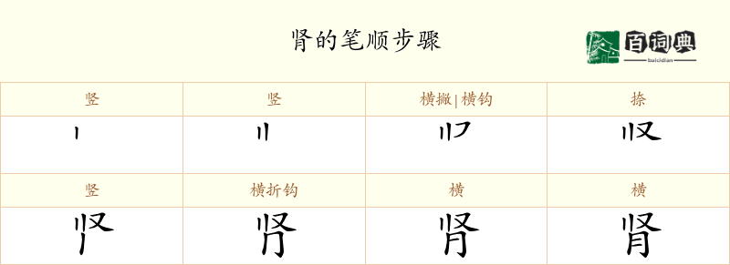 肾