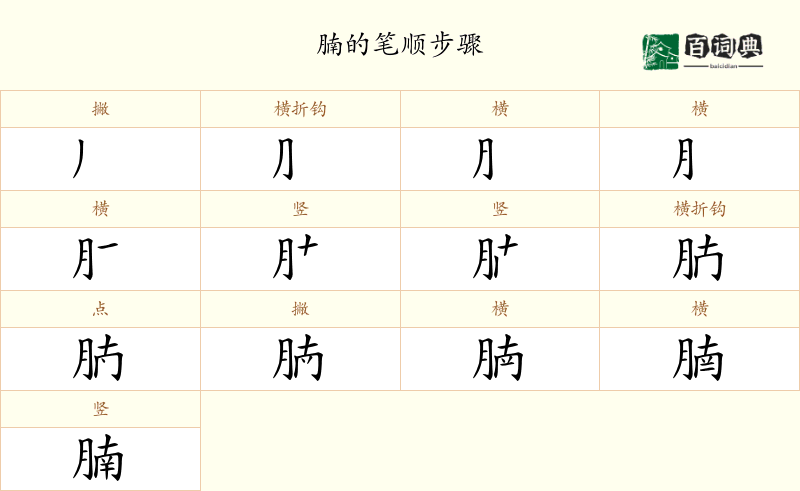 腩