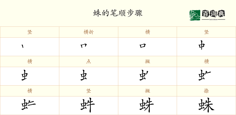 蛛