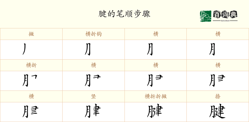 腱