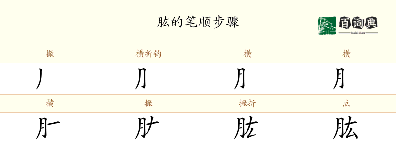 肱