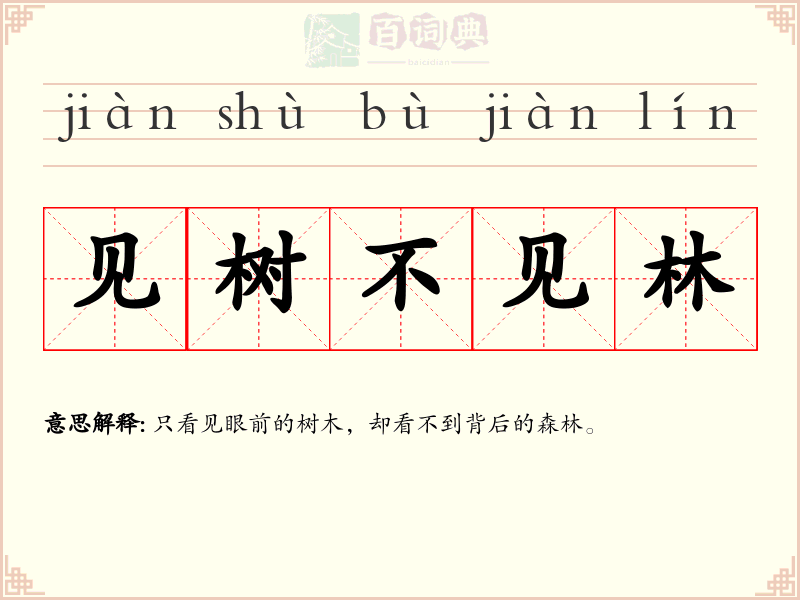 见树不见林