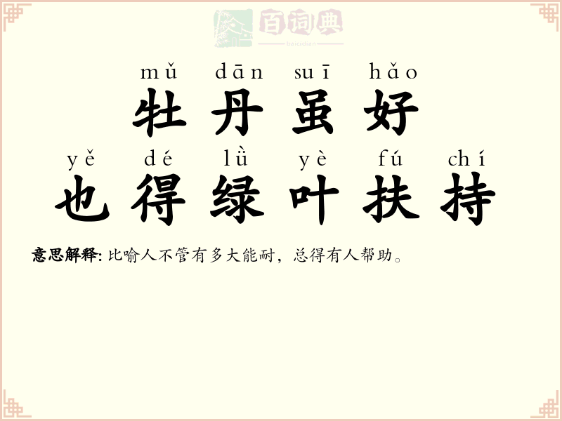 牡丹虽好，也得绿叶扶持