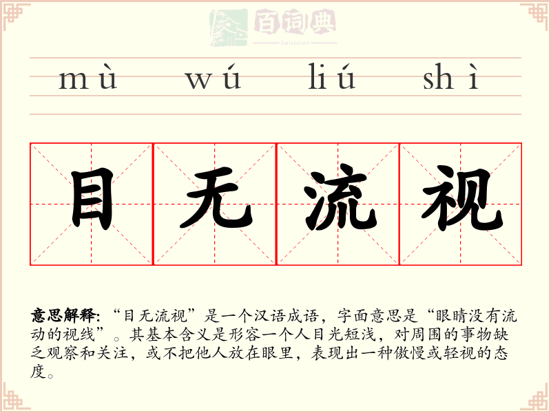 目无流视