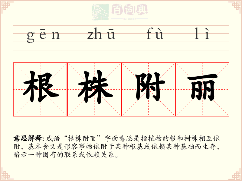 根株附丽