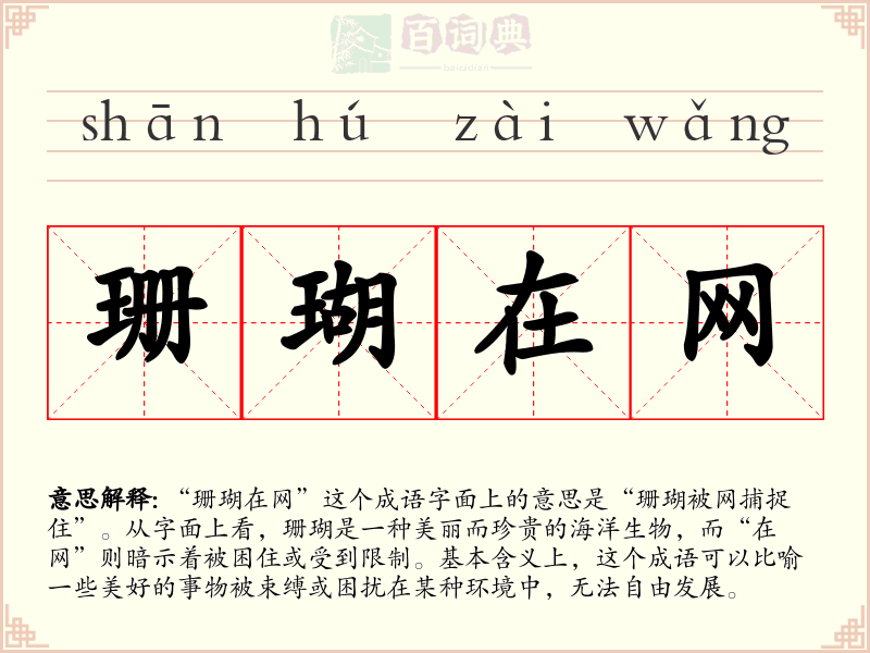珊瑚在网