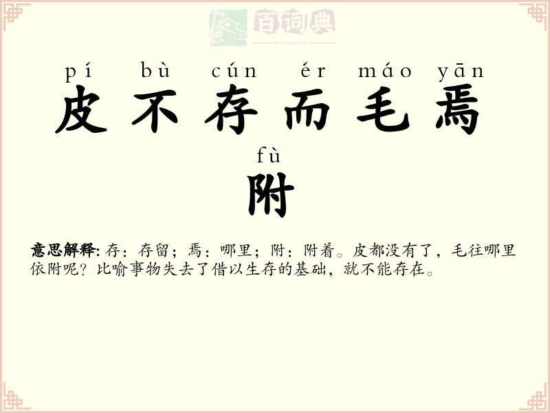 皮不存而毛焉附