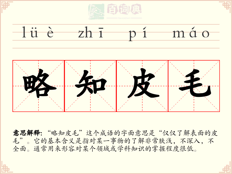 略知皮毛