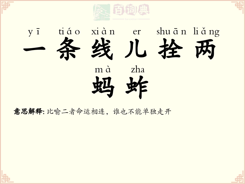 一条线儿拴两蚂蚱