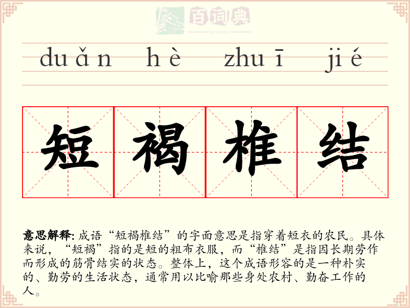 短褐椎结