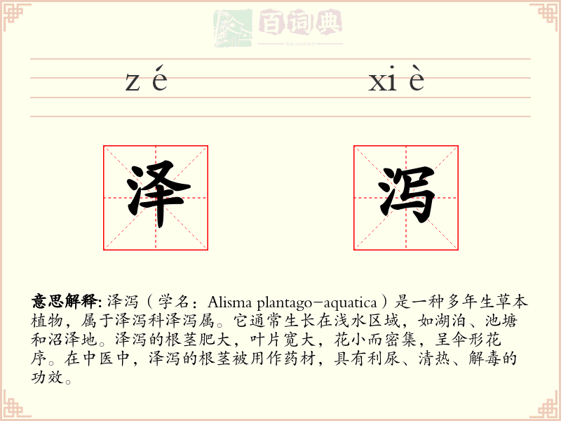 泽泻