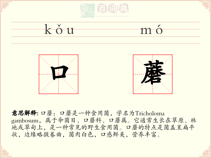 口蘑