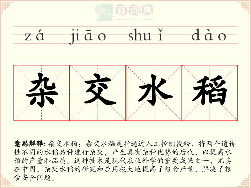杂交水稻