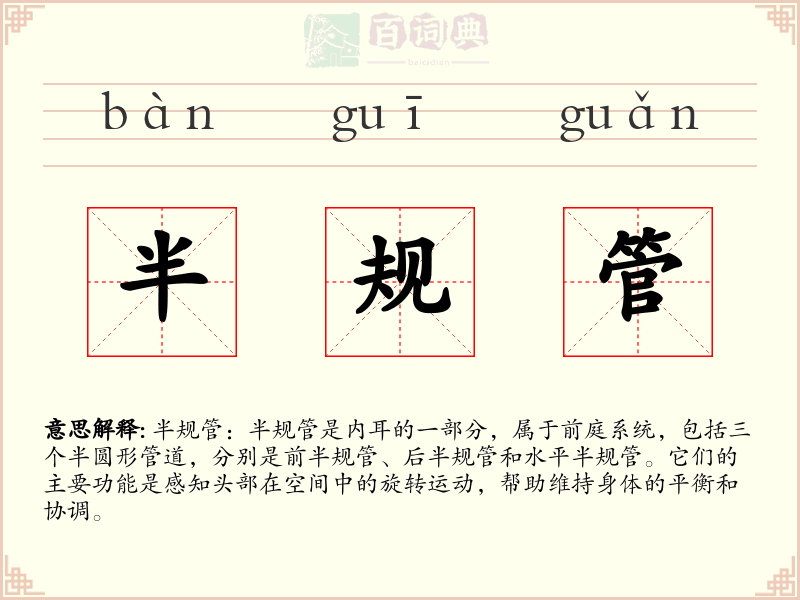 半规管