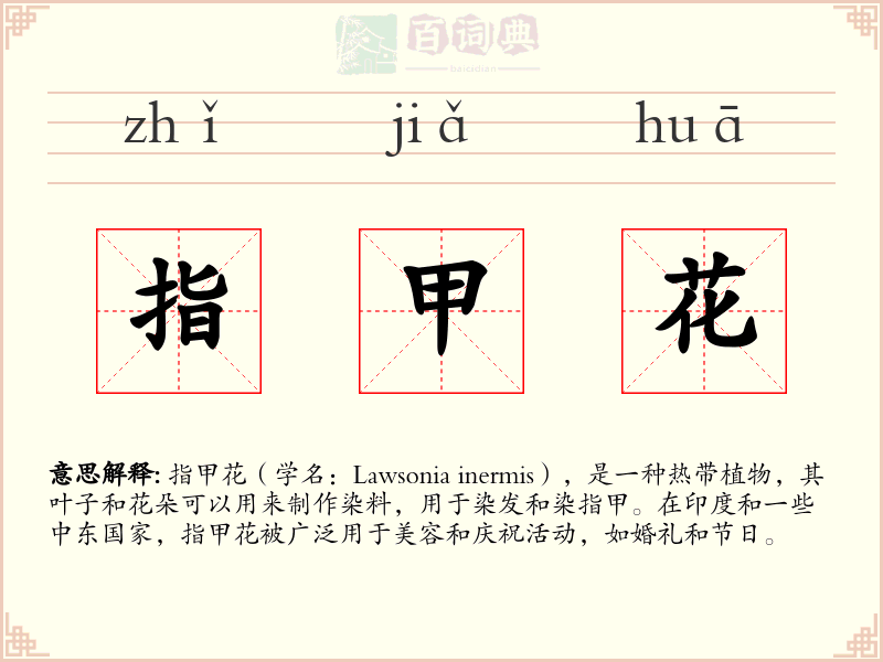 指甲花