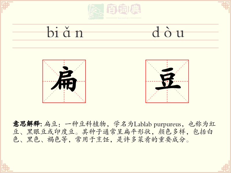 扁豆