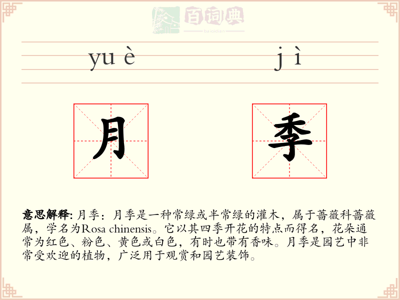 月季