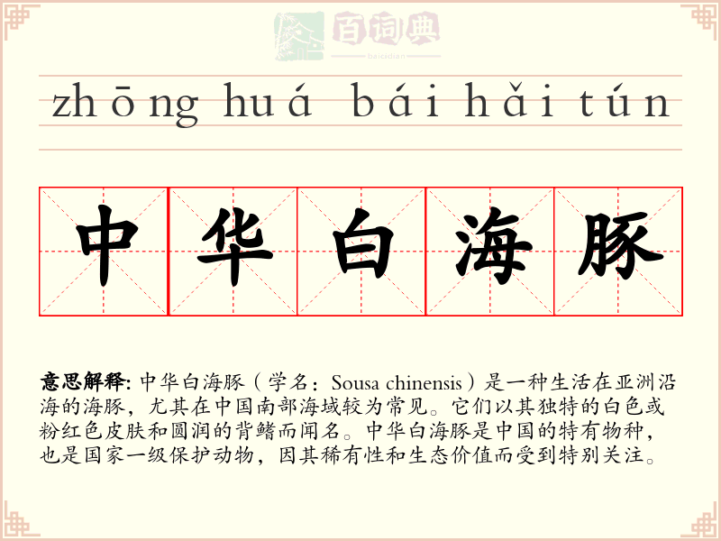中华白海豚