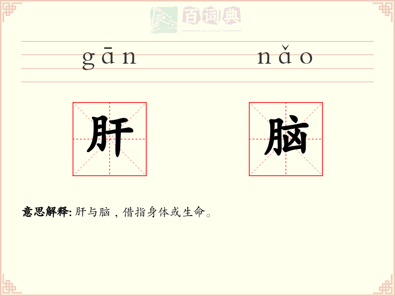 肝脑