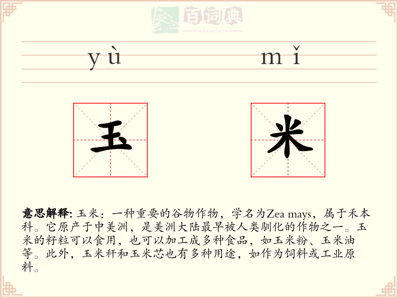 玉米