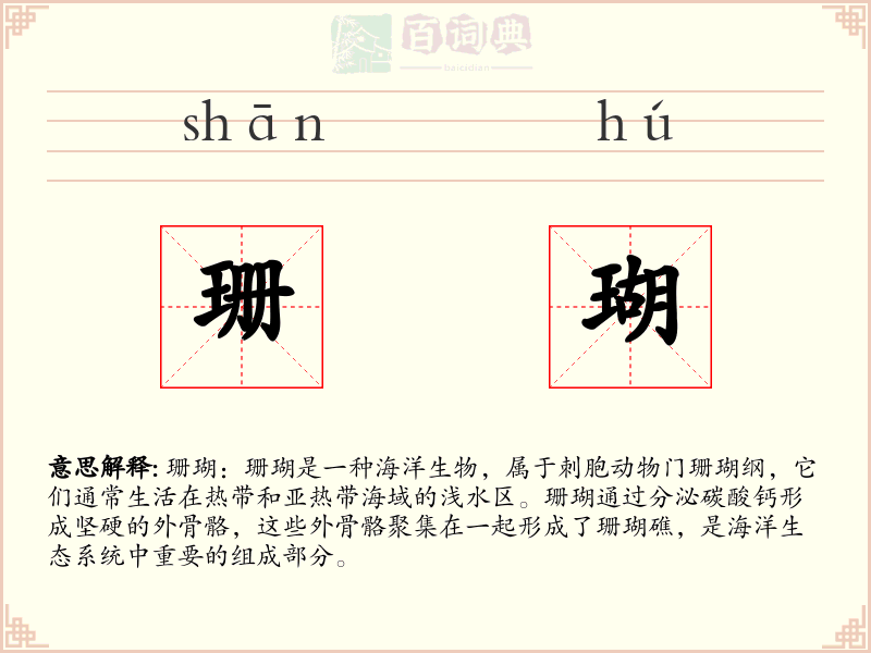 珊瑚